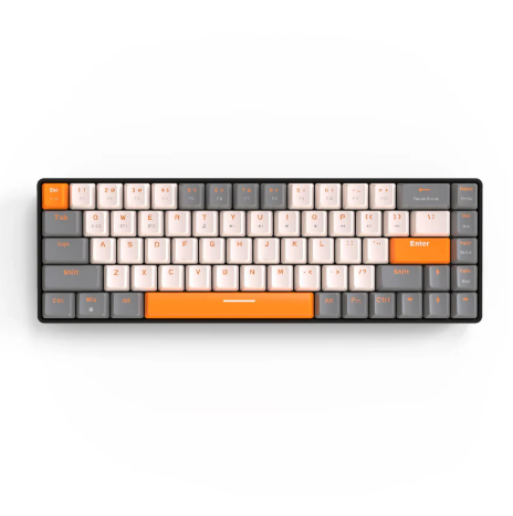 Ultimate Office & Productivity Bundle